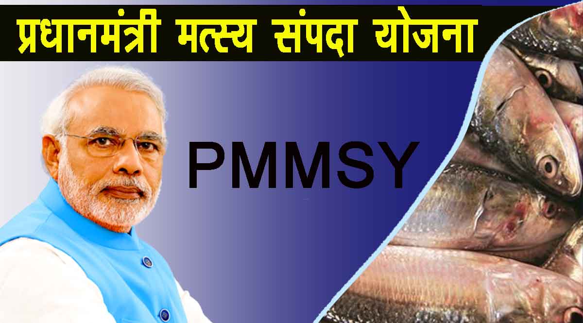 PMMSY